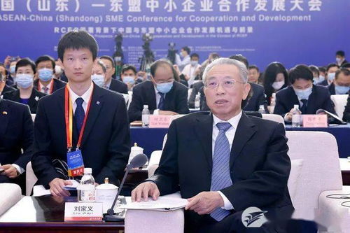 中國山東-東盟中小企業(yè)合作發(fā)展大會在濟開幕，推動軟件應用深化經(jīng)貿合作